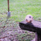 スポーツが変える福祉のイメージ——知的障がい者サッカーの現場から