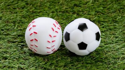 障がいを越えてスポーツがつなぐもの―野球とサッカー、そして未来へ