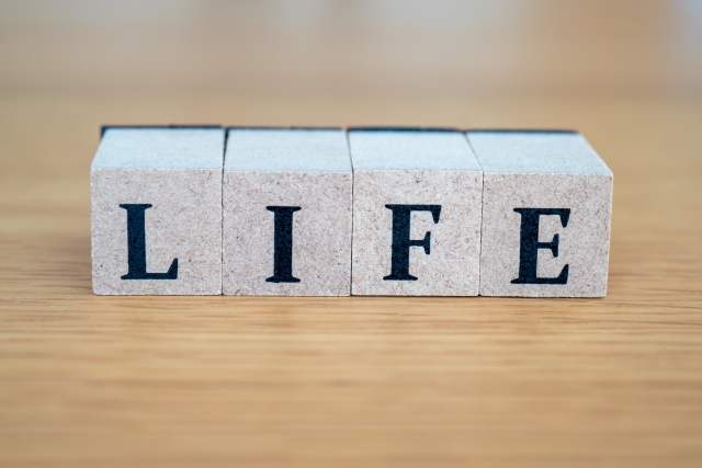 便利で複雑な社会を生き抜くために―放課後等デイサービスが伝える「生きる術」