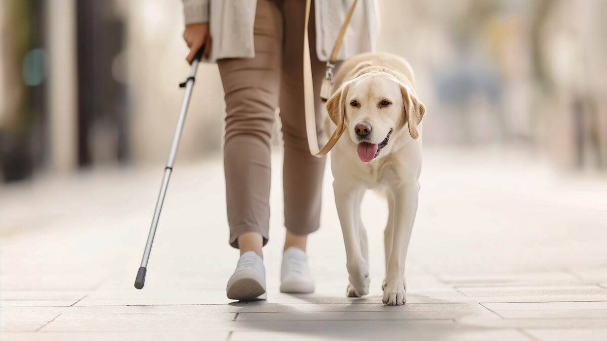 「ありがとう」が行き交う社会へ ― 合理的配慮という視点